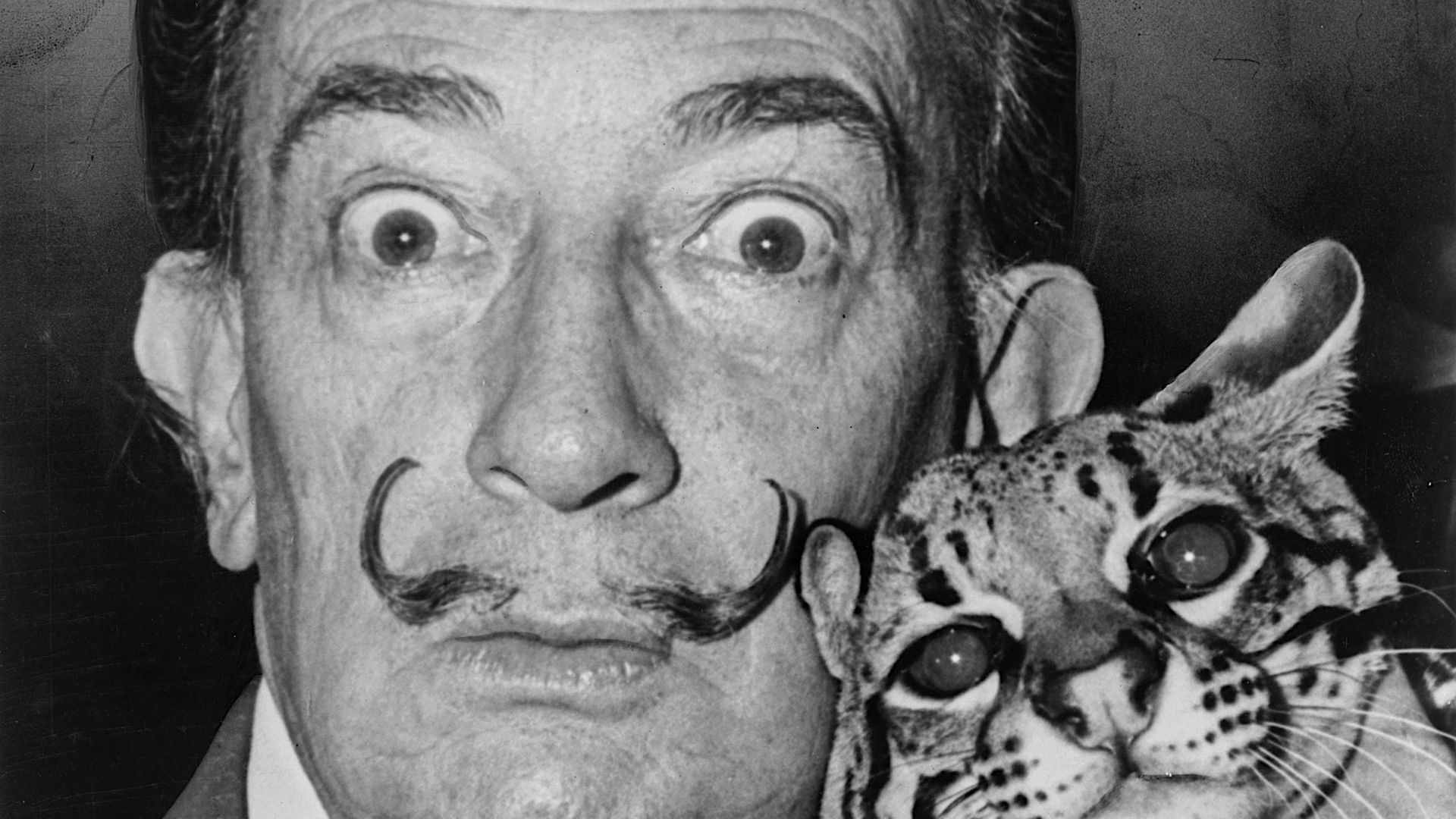 20. Salvador Dalí