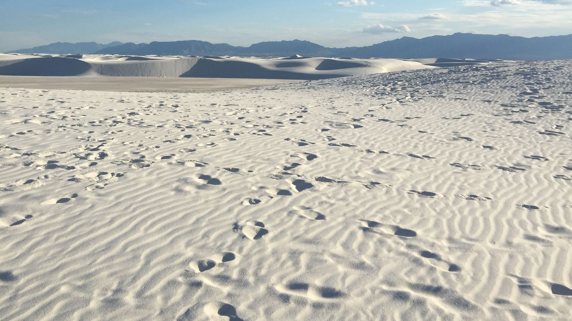 2. Les empreintes de White Sands