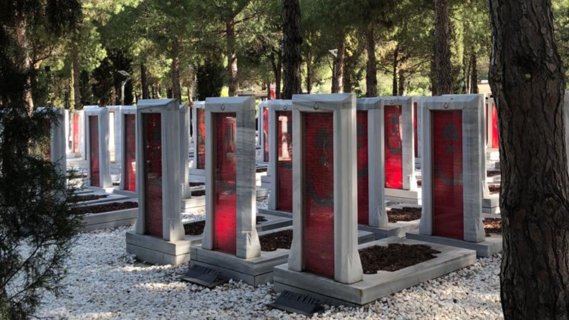 4. On laisse la campagne de Gallipoli s'éterniser