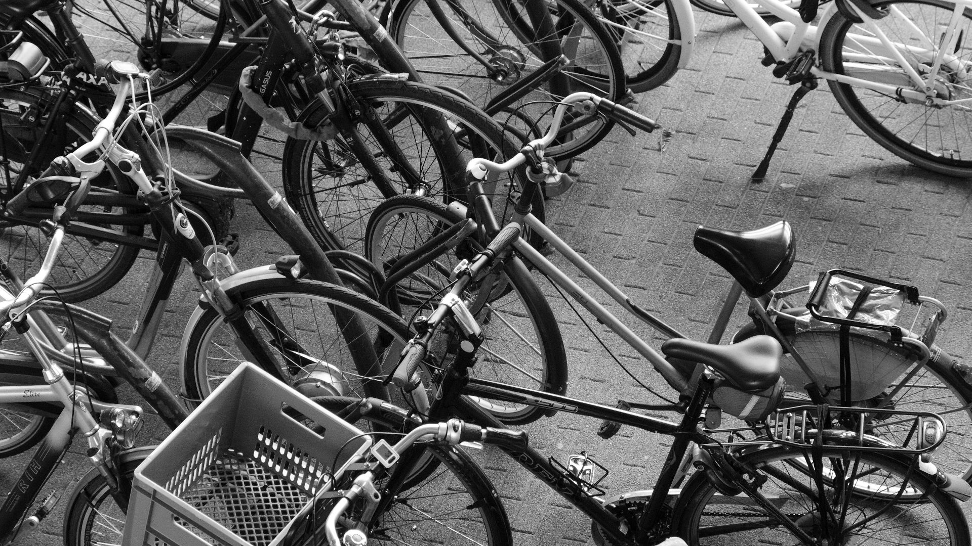 6. Vélos