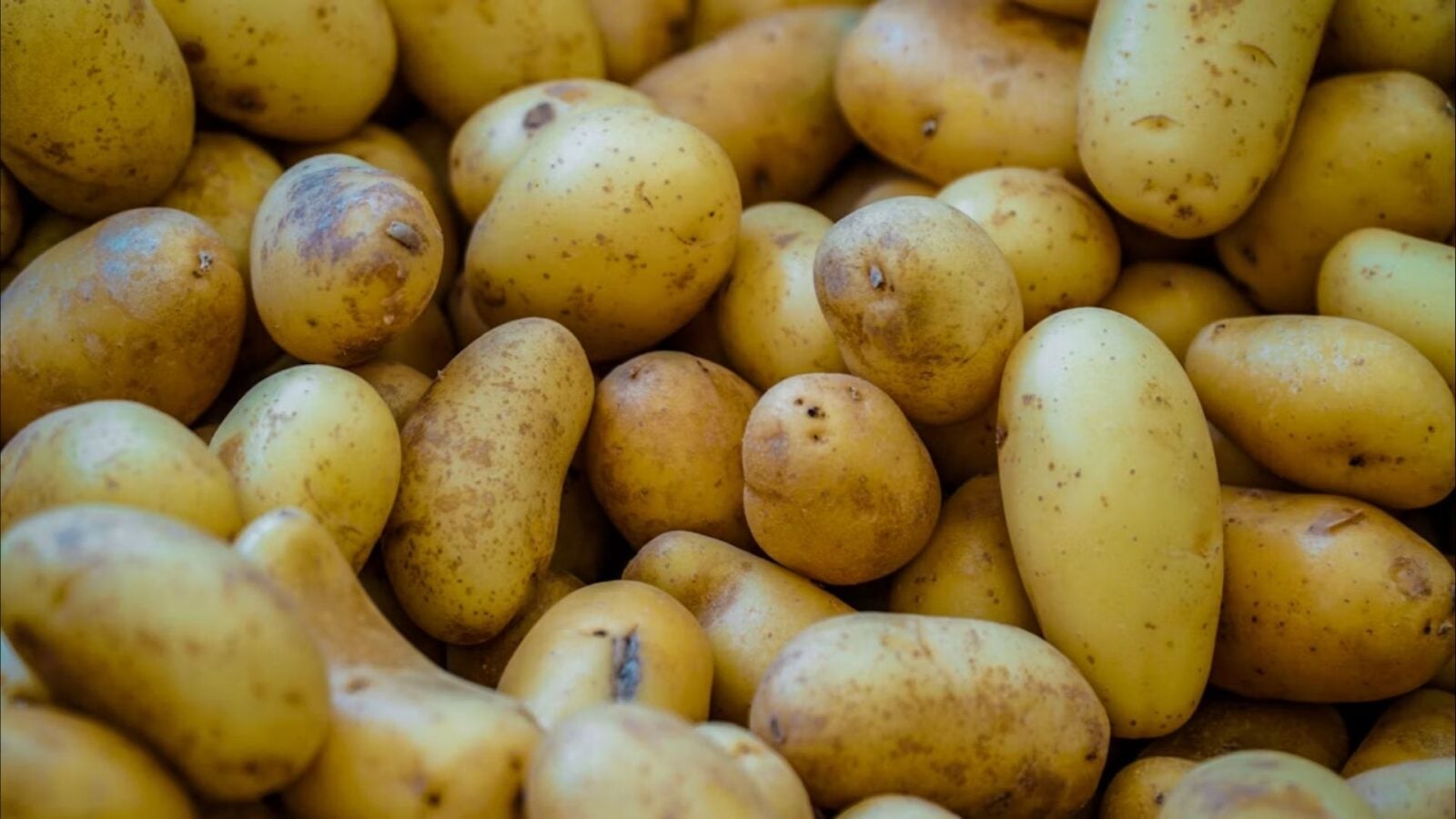 5. For A While, Potatoes Made Famine Rarer Across Europe