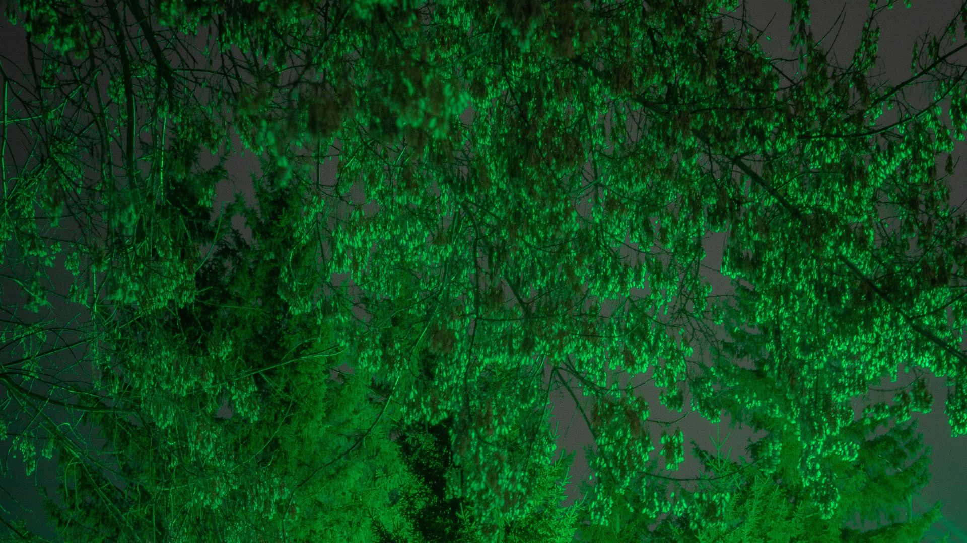 5. L’« heure verte » quotidienne