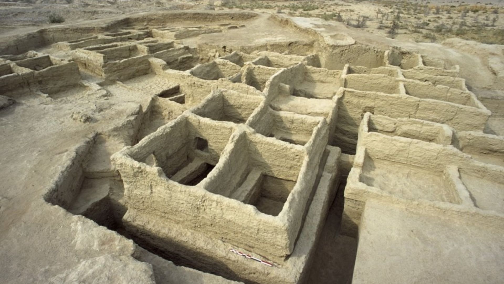 13. Mehrgarh