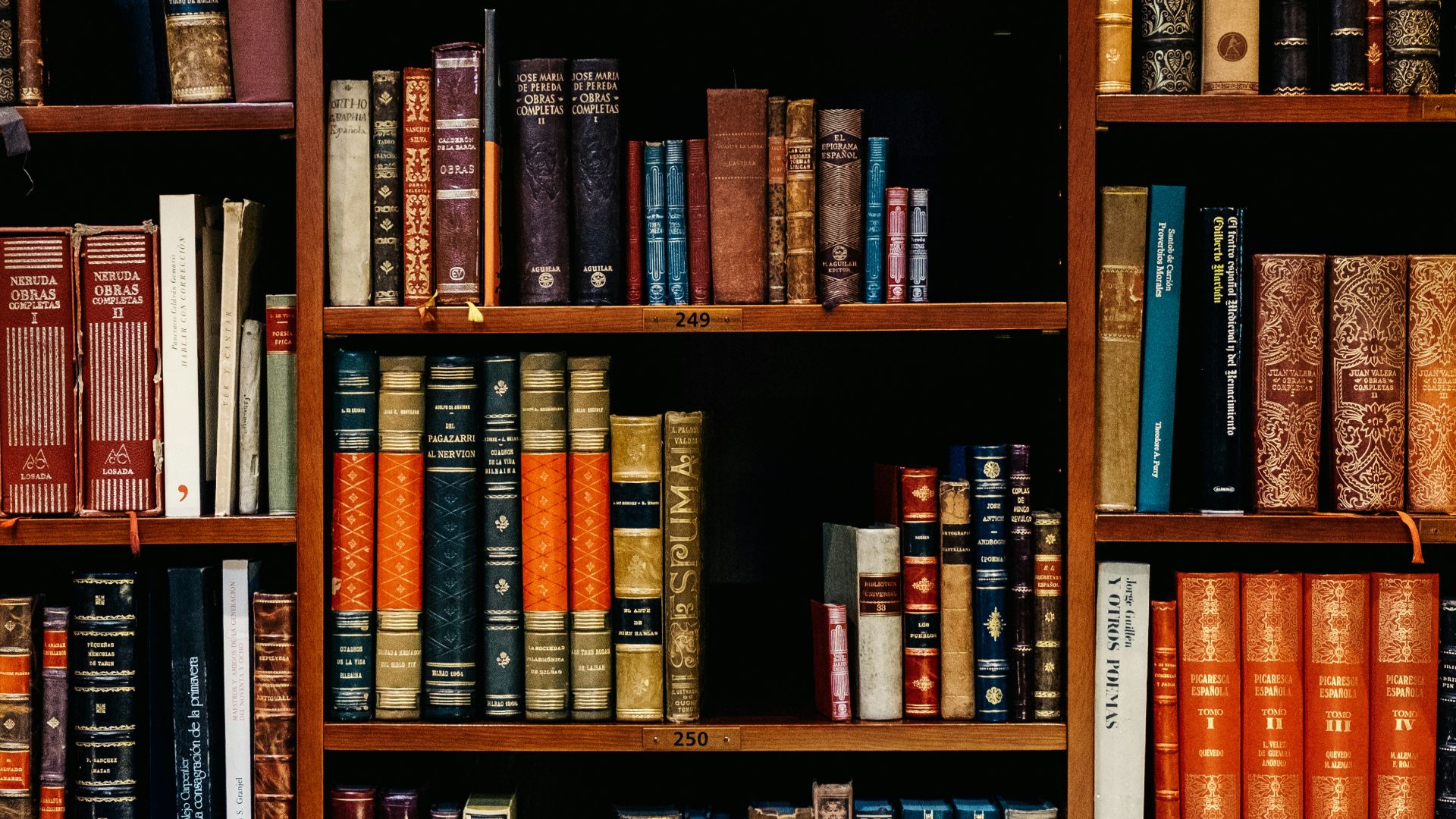 6. La lecture d'une bibliothèque personnelle