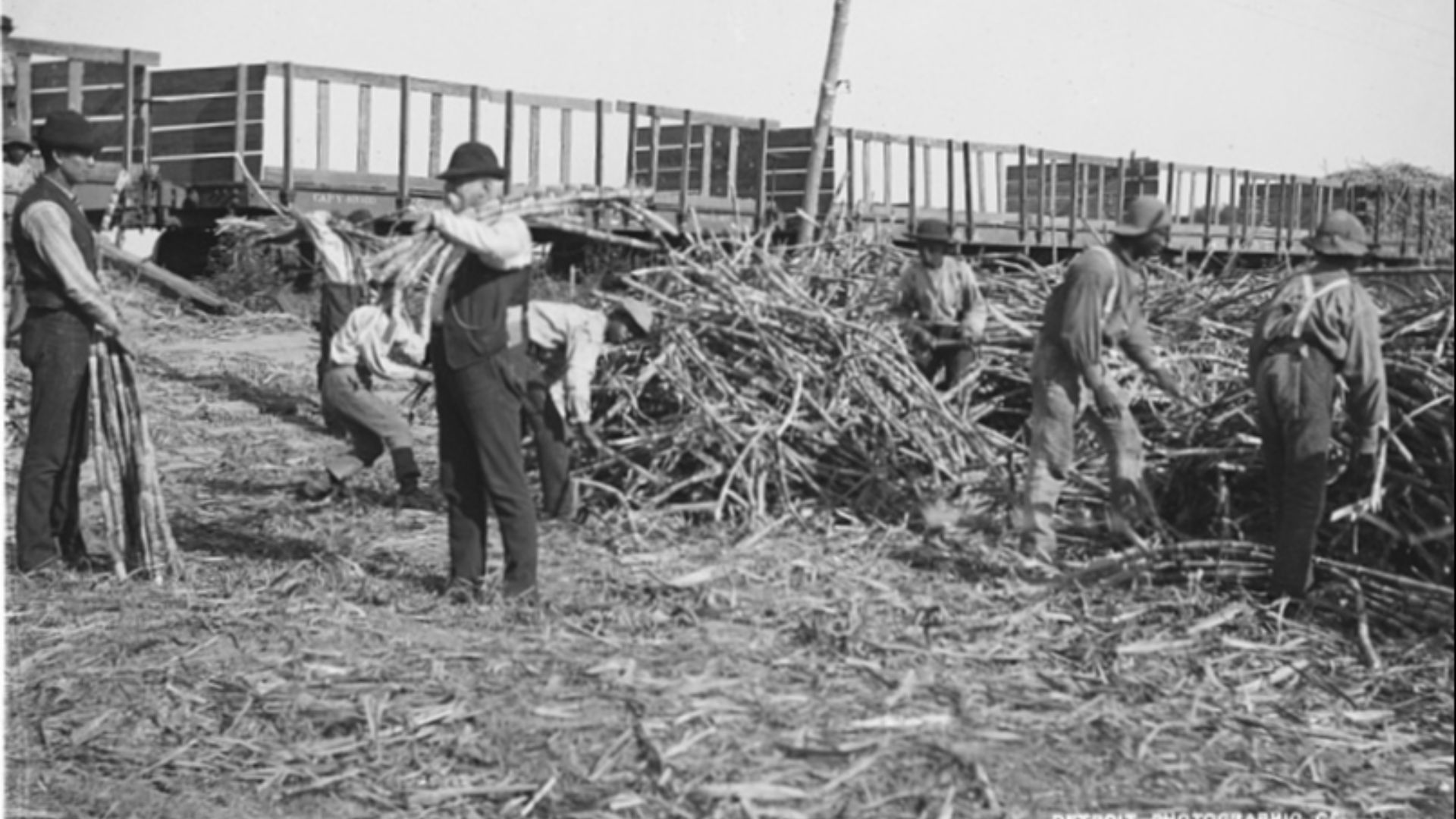4. Le massacre de Thibodaux de 1887
