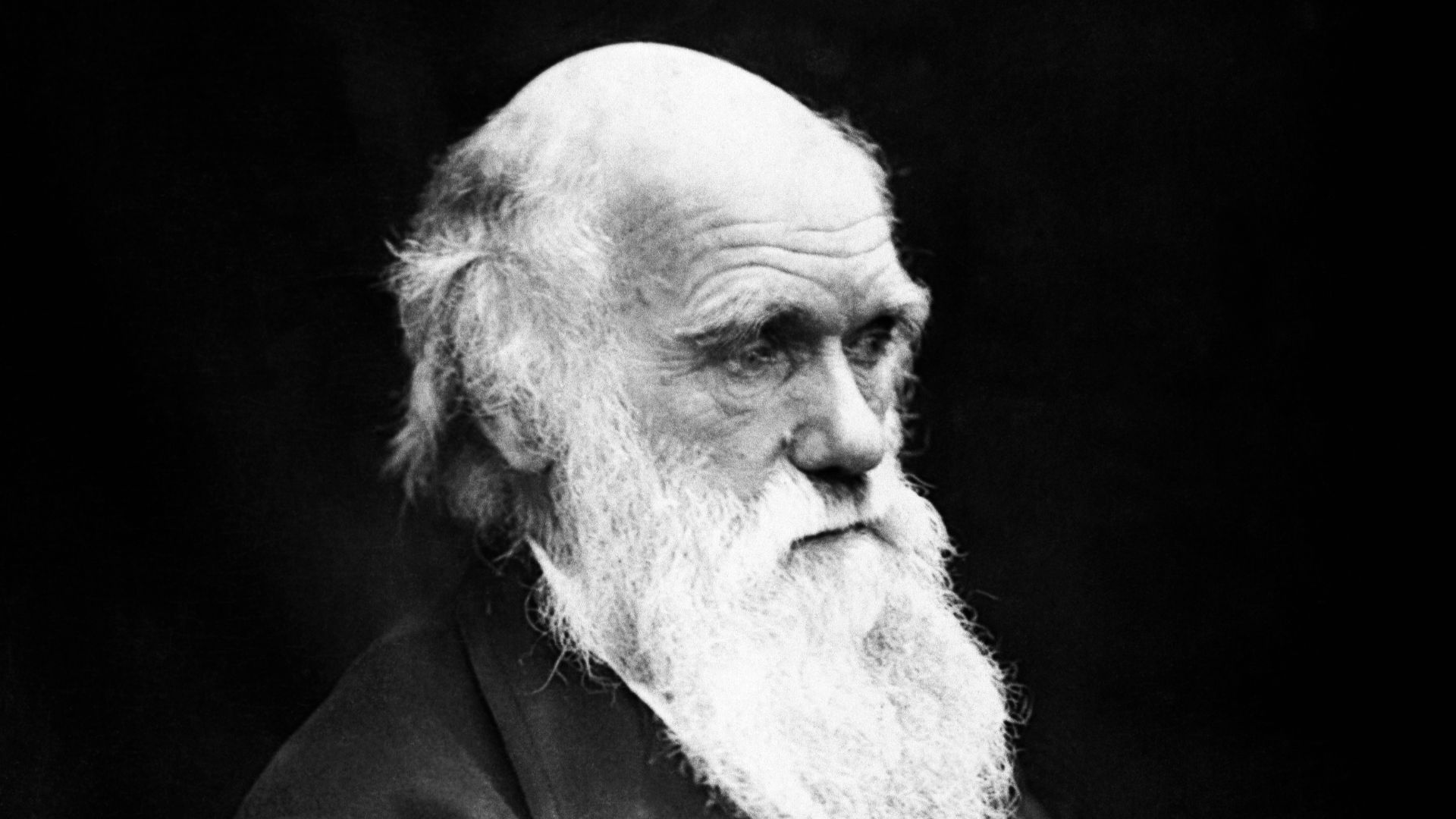 9. Darwin dévoile son idée révolutionnaire