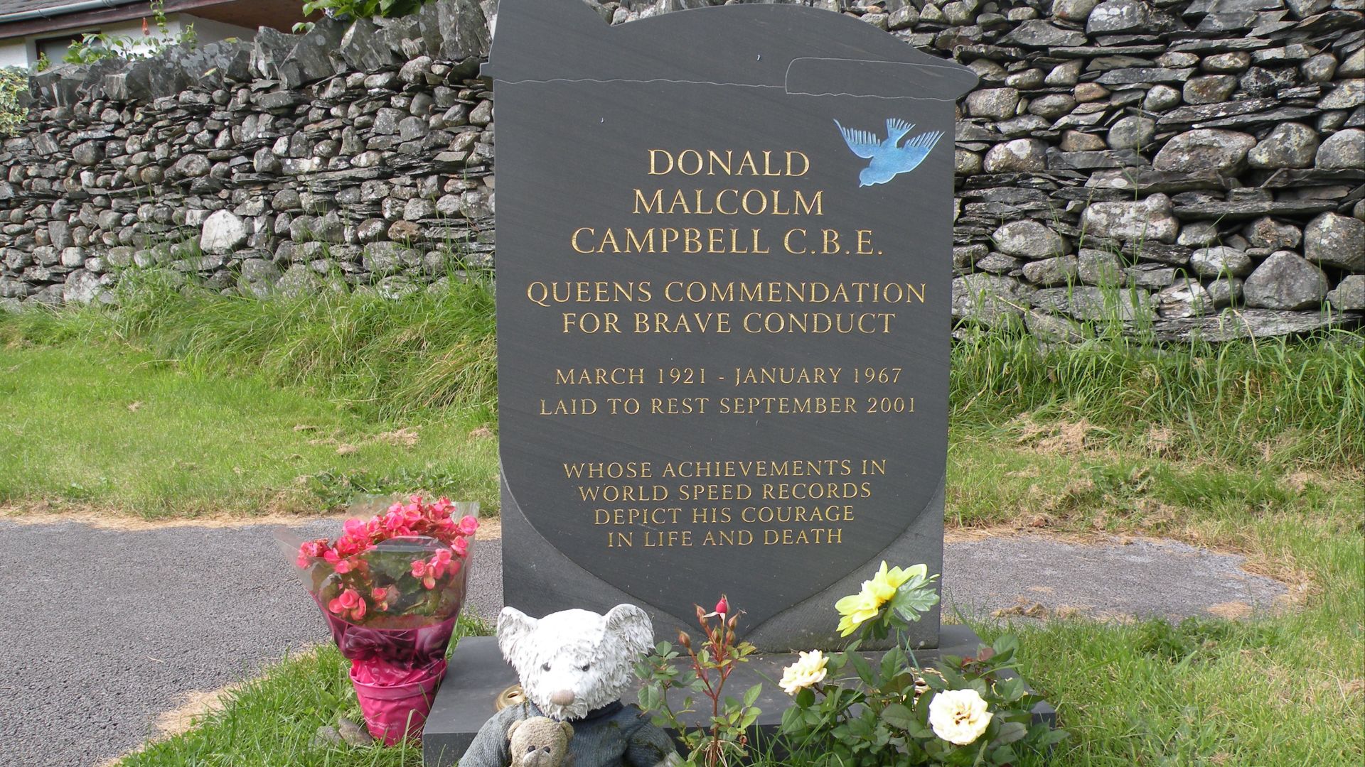 11. Donald Campbell