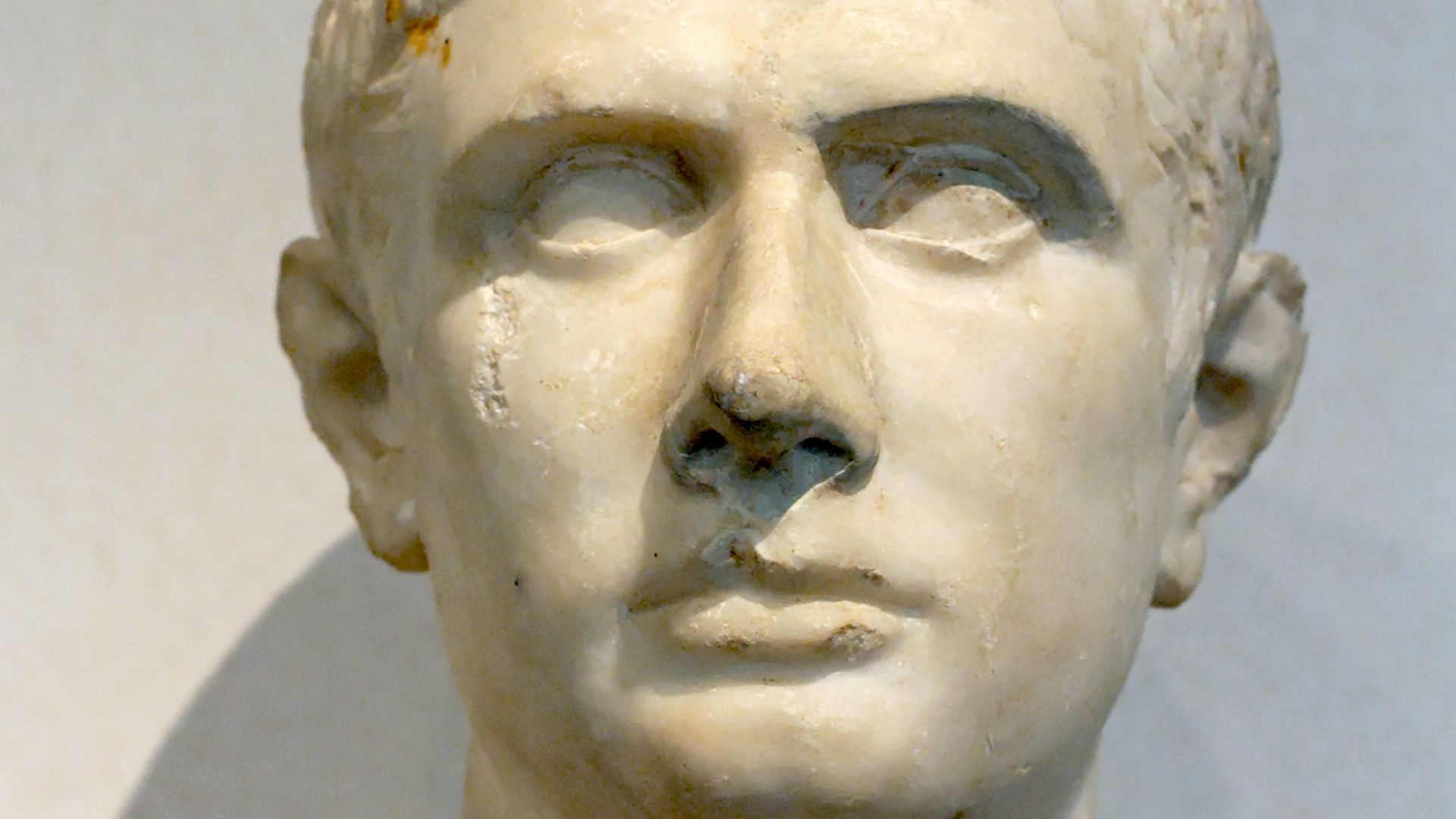 12. Brutus