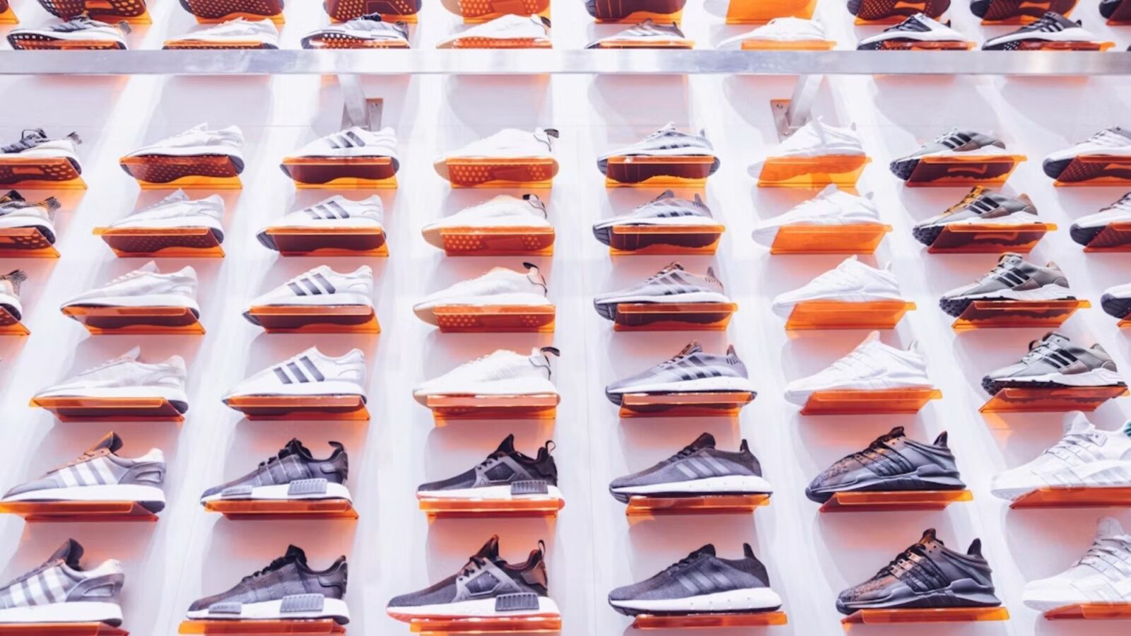 20. A Sibling Fallout Somehow Created Both Adidas And Puma