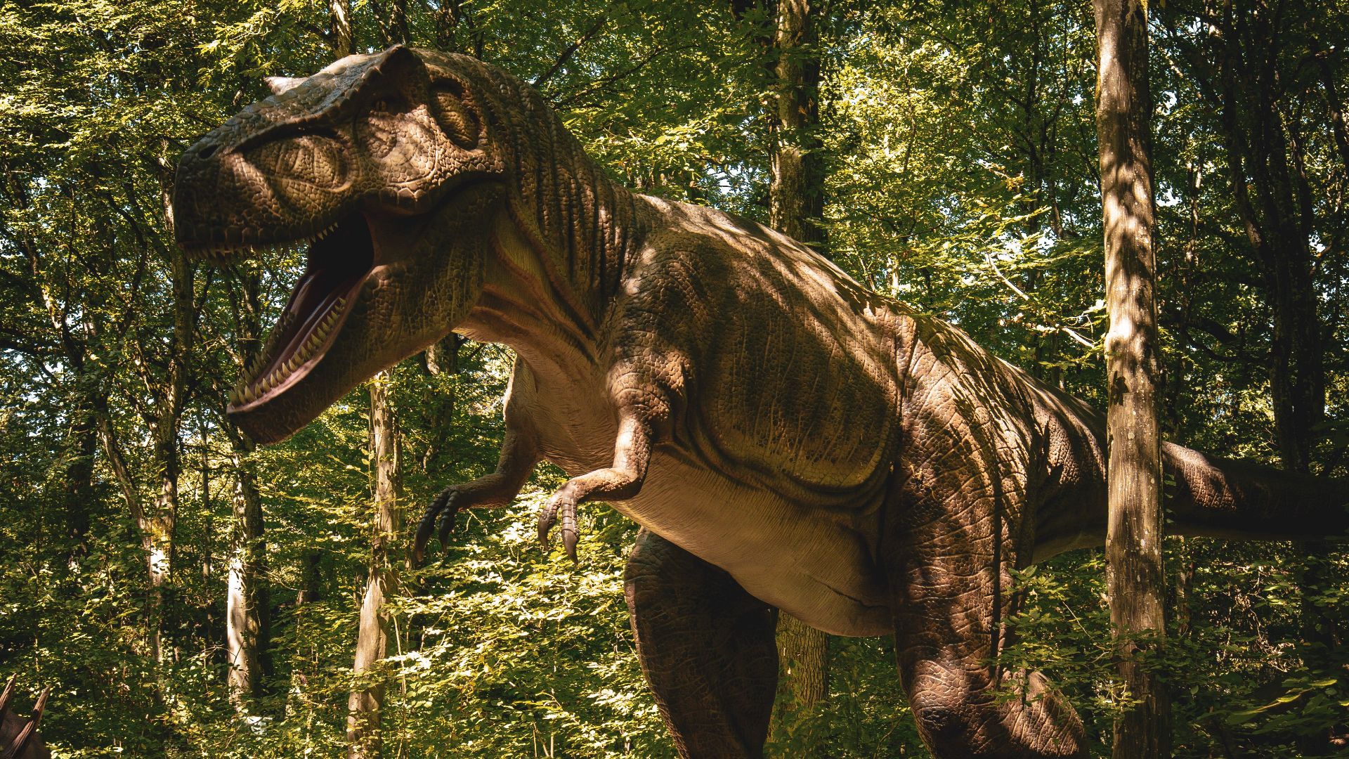 3. Tous les dinosaures avaient une peau écailleuse