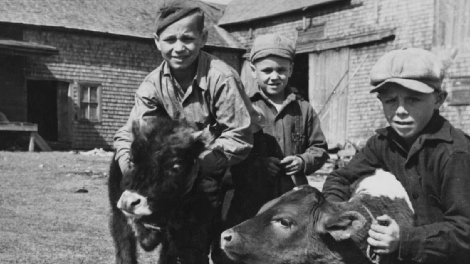 18. Farm Teens Were The One Group The New Labor Law Left Alone