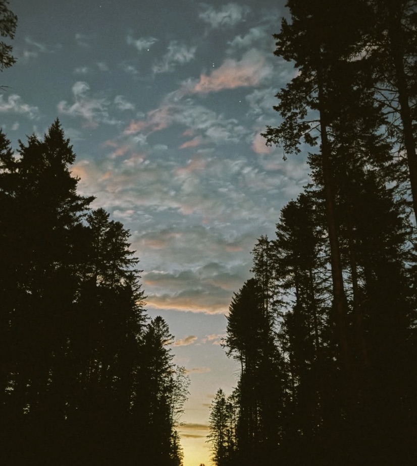 Loin des lumières et de l’agitation