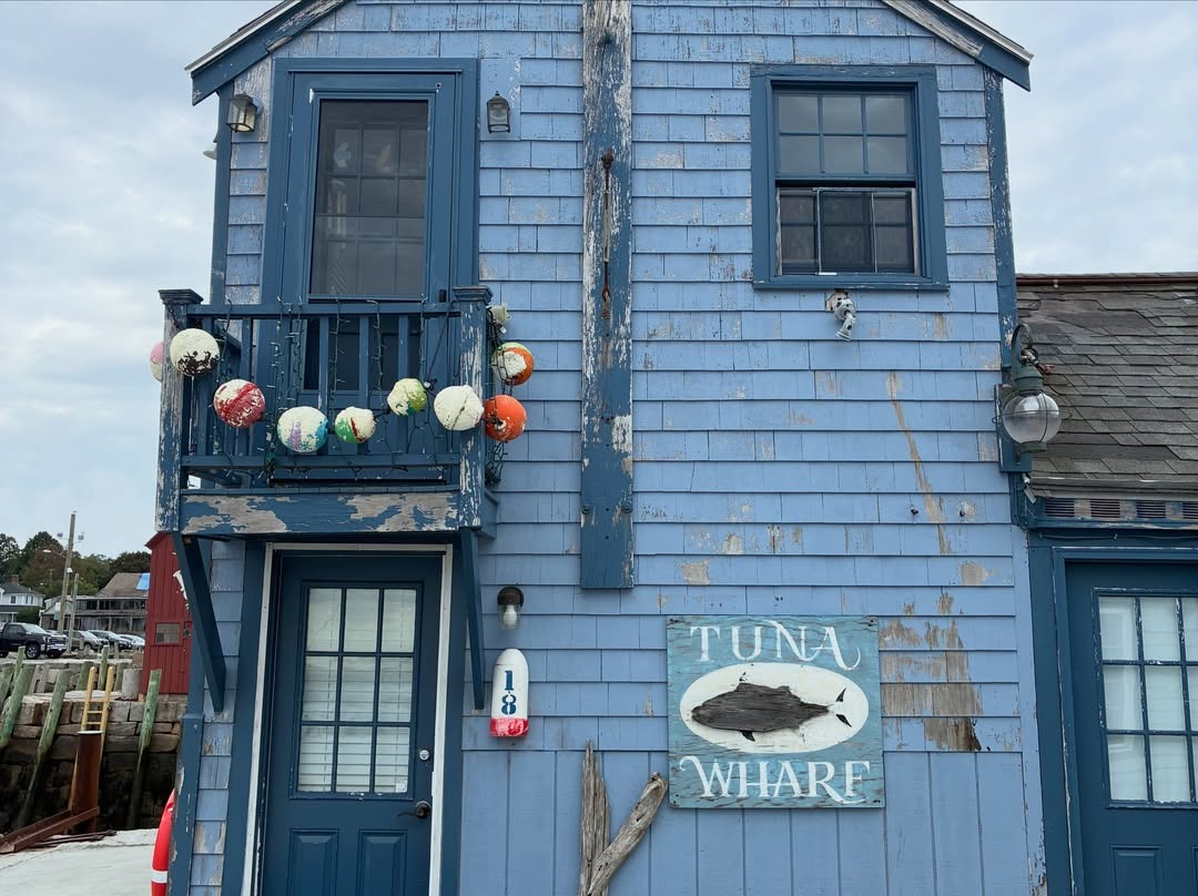 Le charme brut du bord de mer