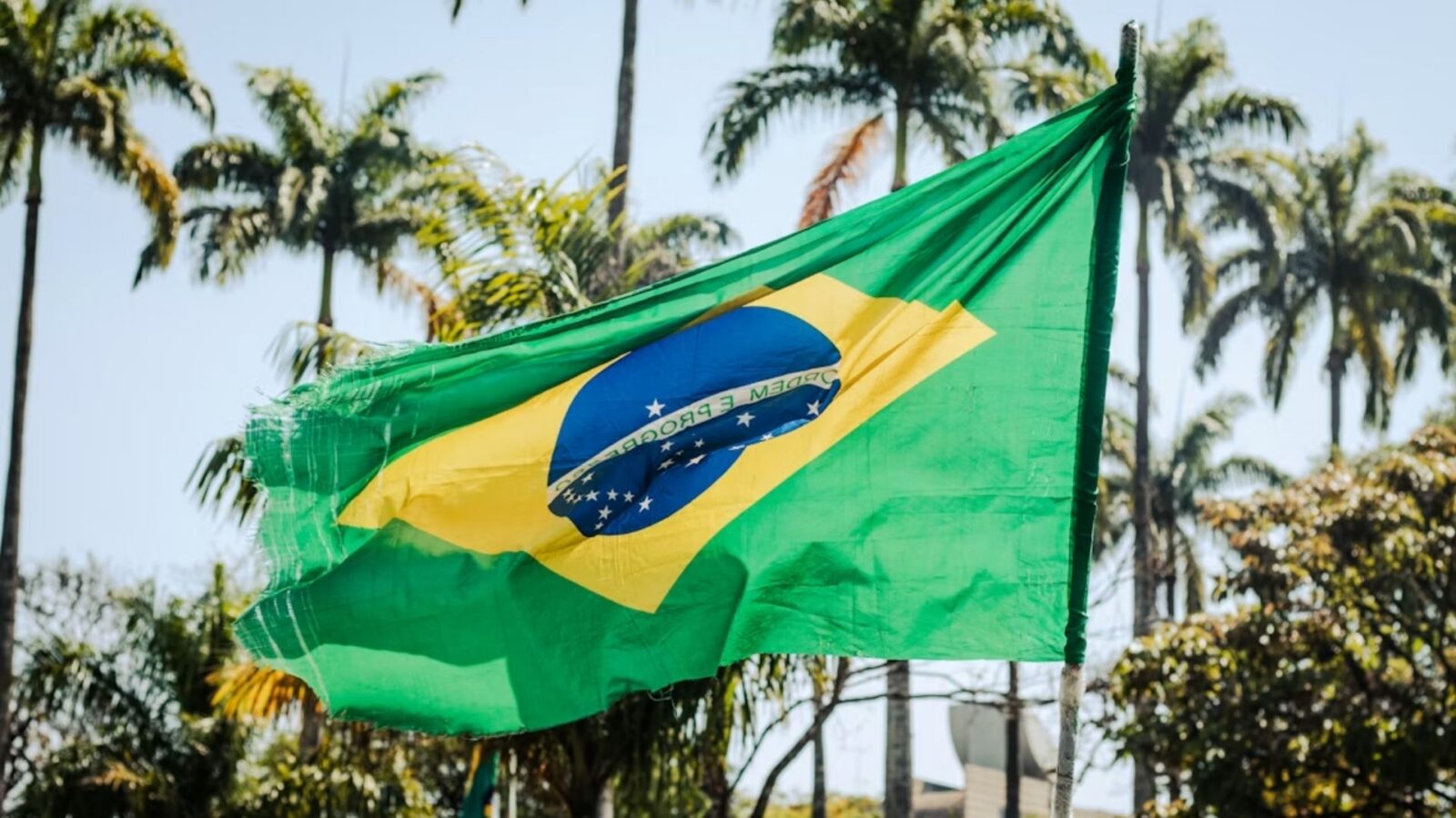 2. Brazil's Flag Isn't About The Rainforest