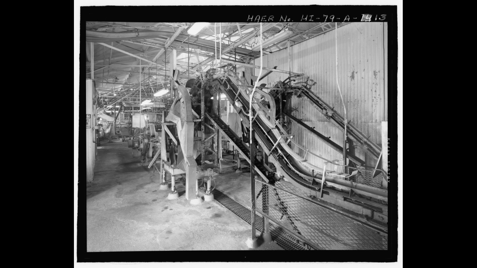 5. One Machine Did The Job Of Dozens Of Peelers