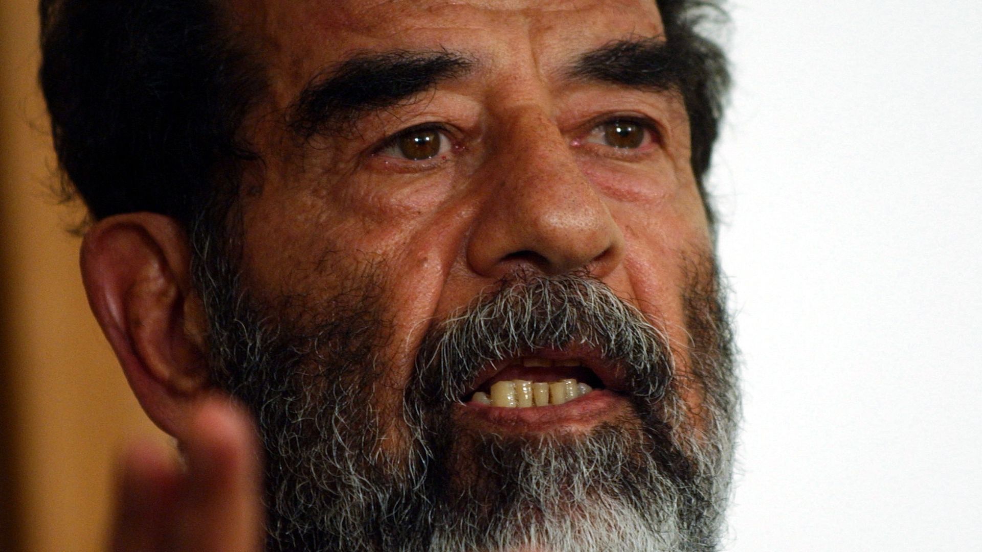 18. Saddam Hussein