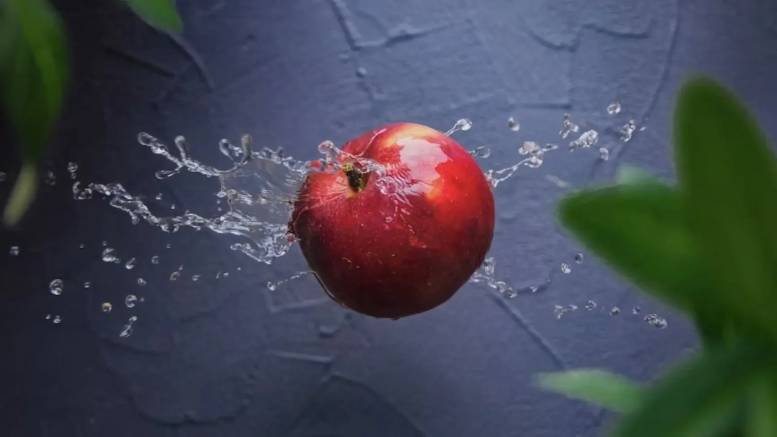 12. Un médecin a démontré que la « maladie du cidre » du Devon n'était pas due aux pommes