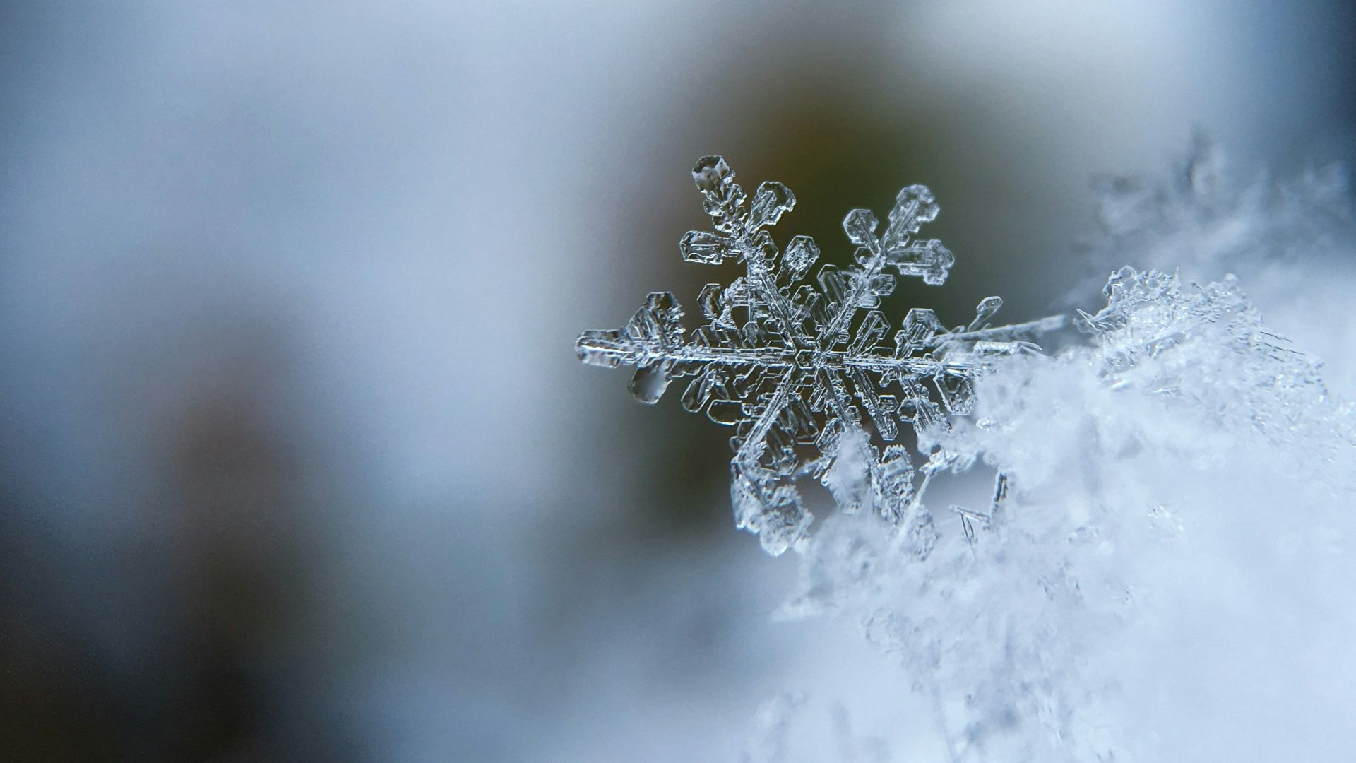 7. L'hiver