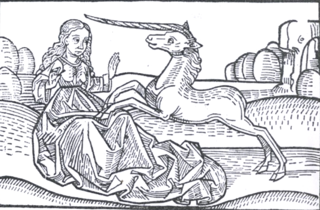 3. La corne d'une licorne avait des pouvoirs de guérison