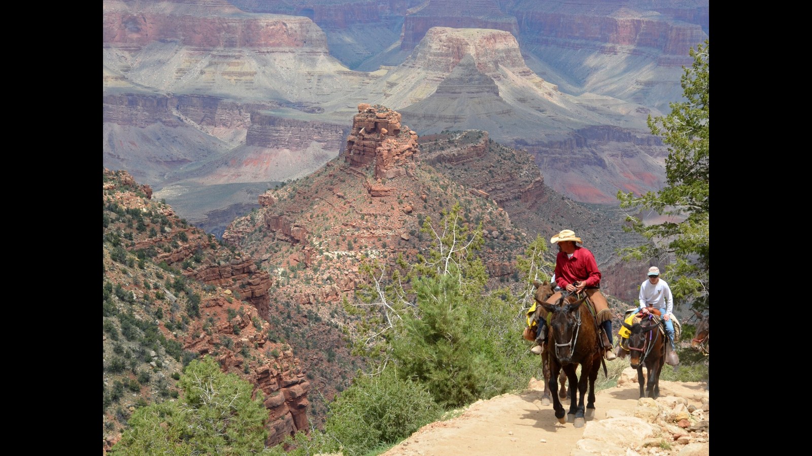 19. Le Grand Canyon a été le clou du spectacle de la Route 66
