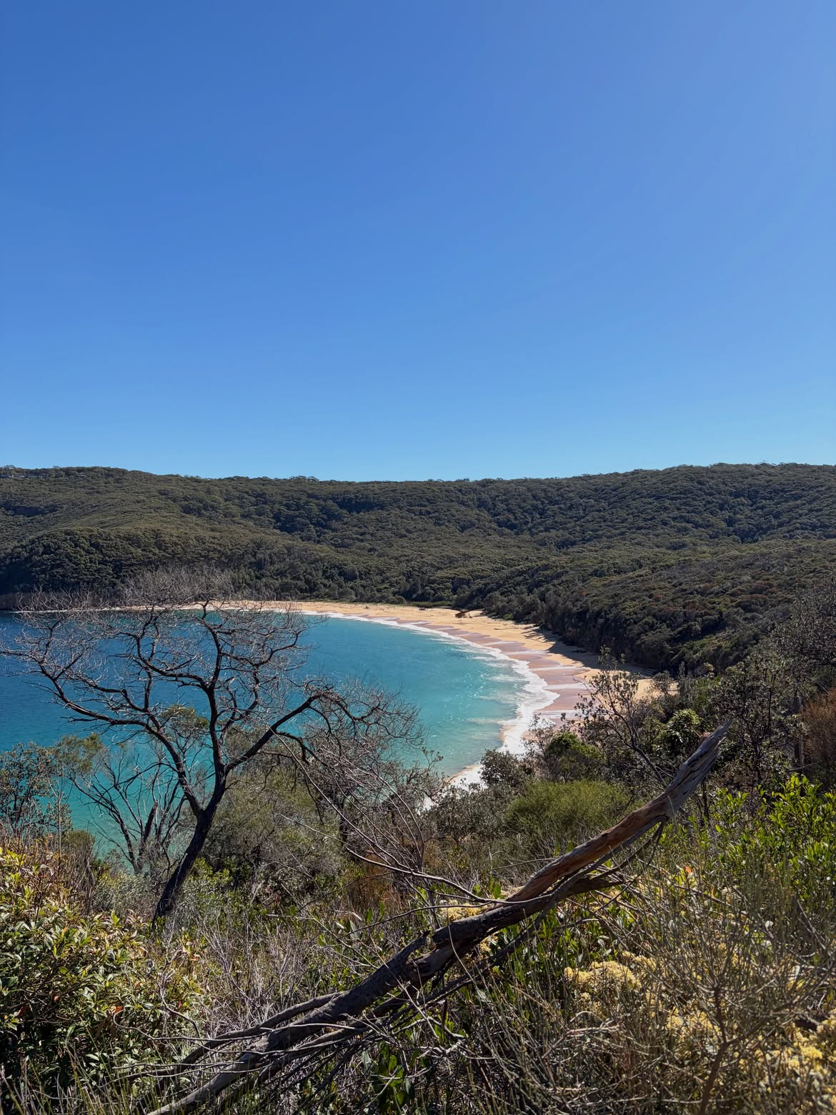 Le réveil de la côte