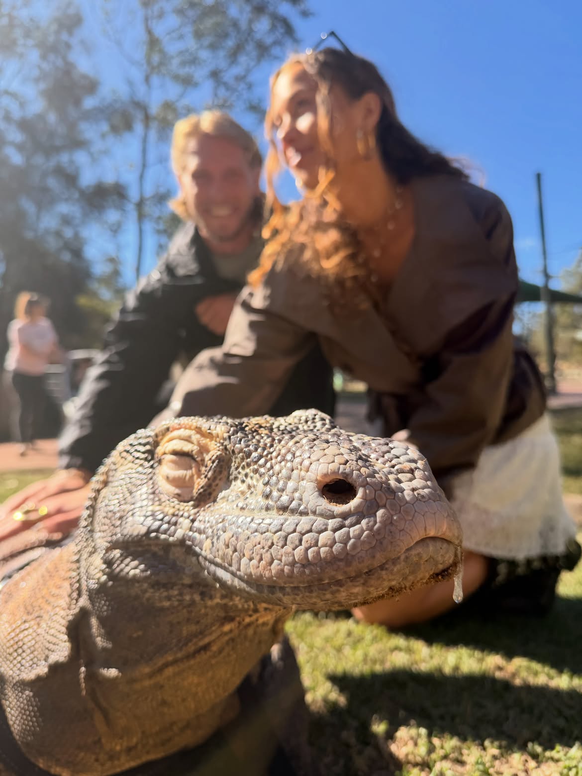 Un varan tout paisible