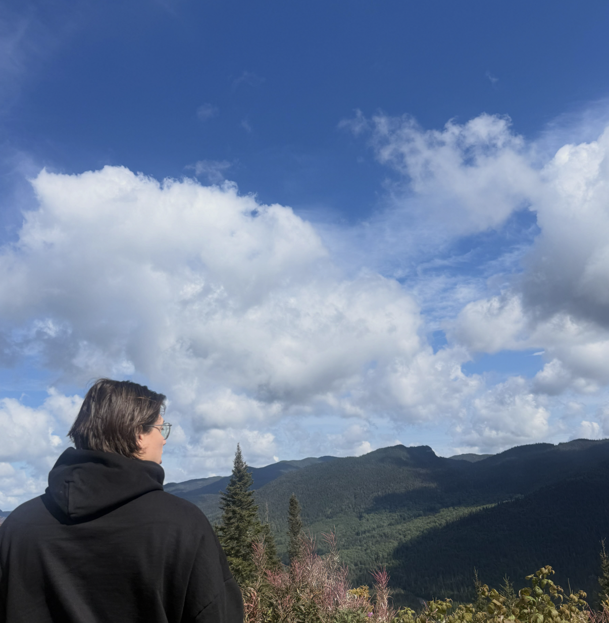 Paysage