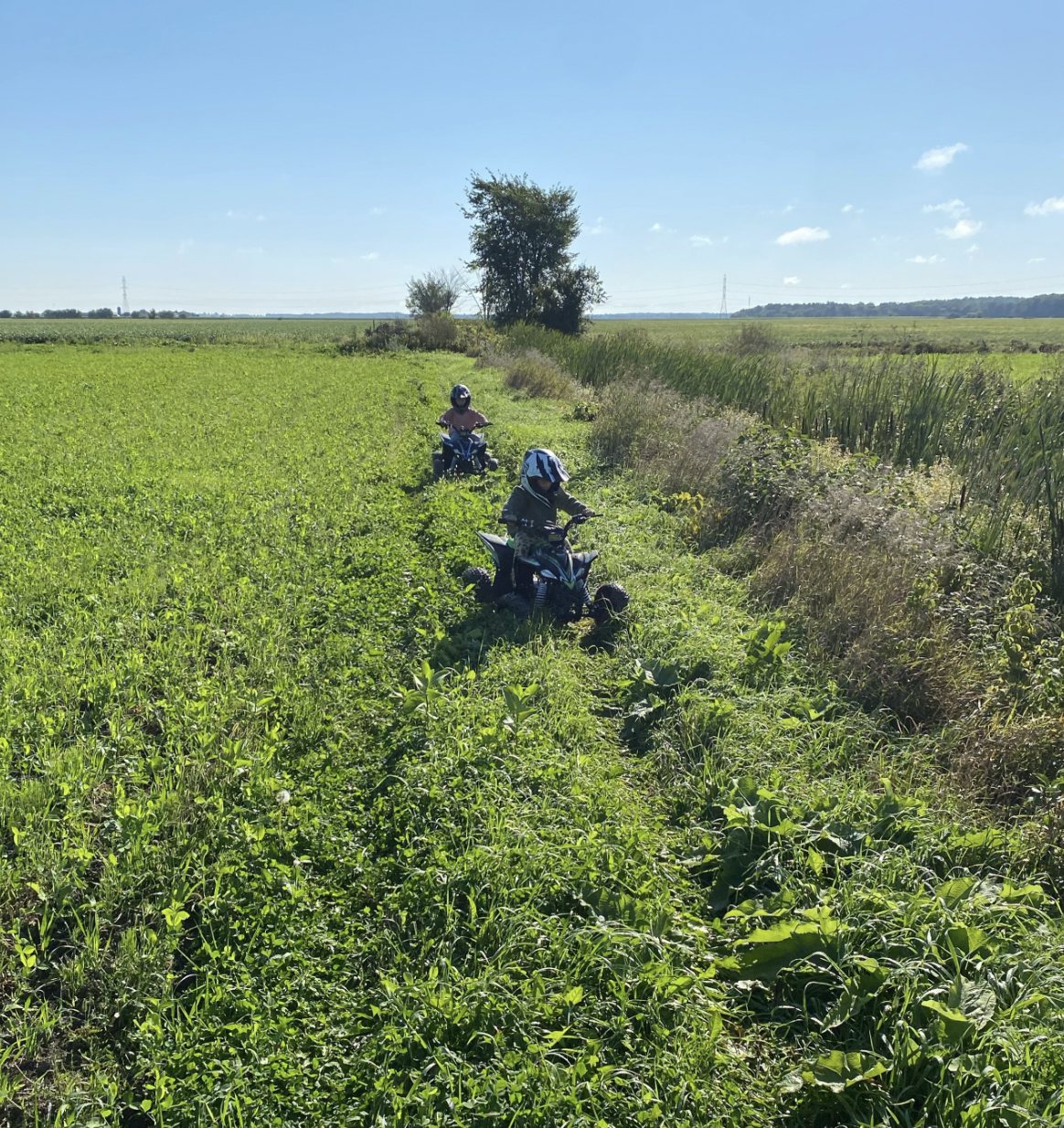 VTT