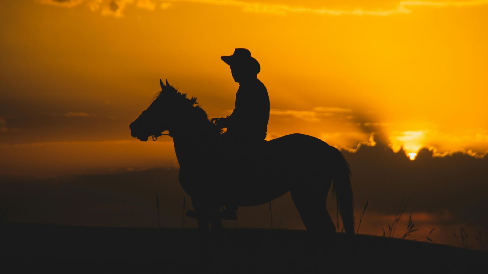 3. Le Lone Ranger sort au galop d’un studio de Détroit