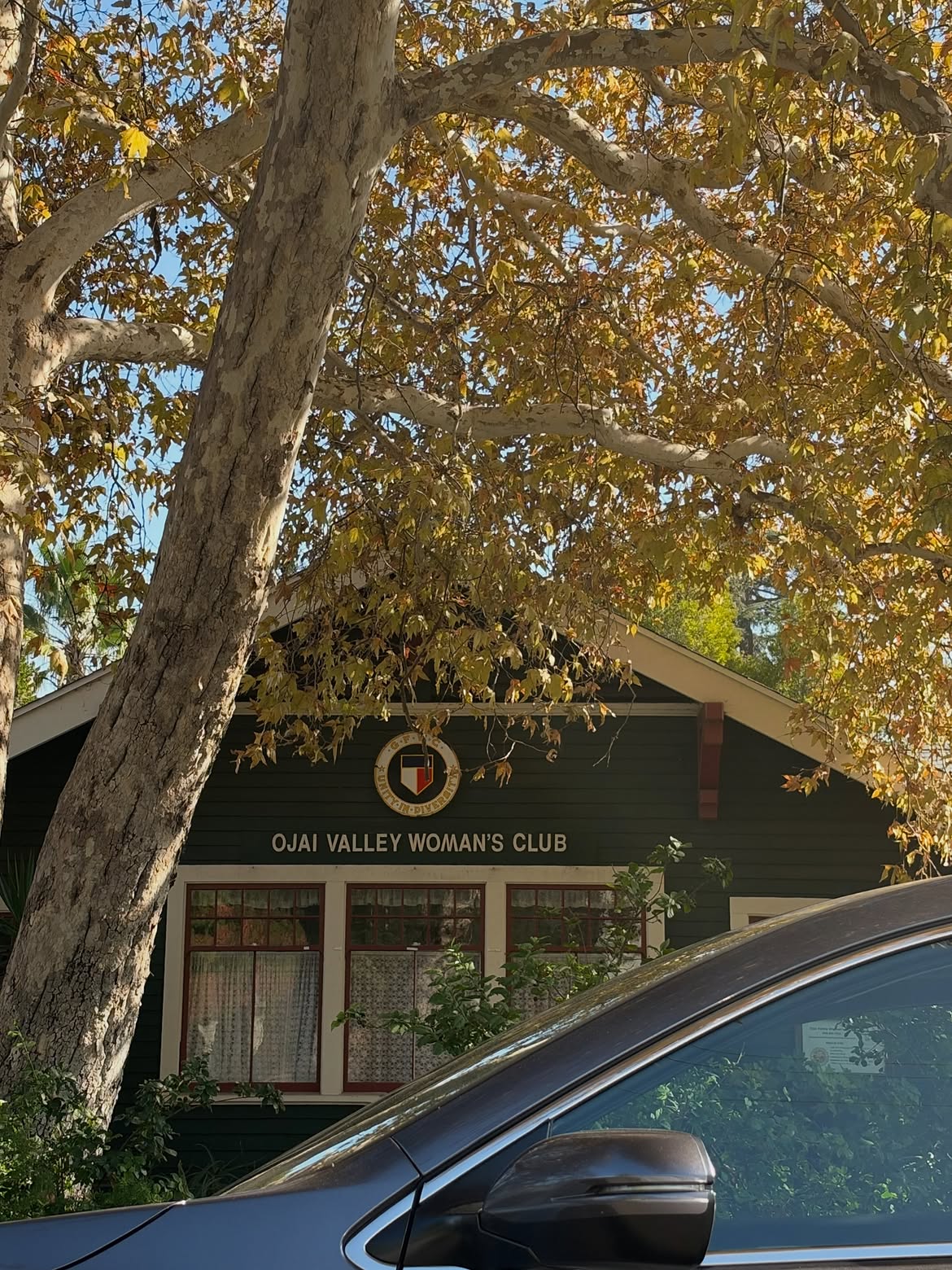 Une maison sous les arbres