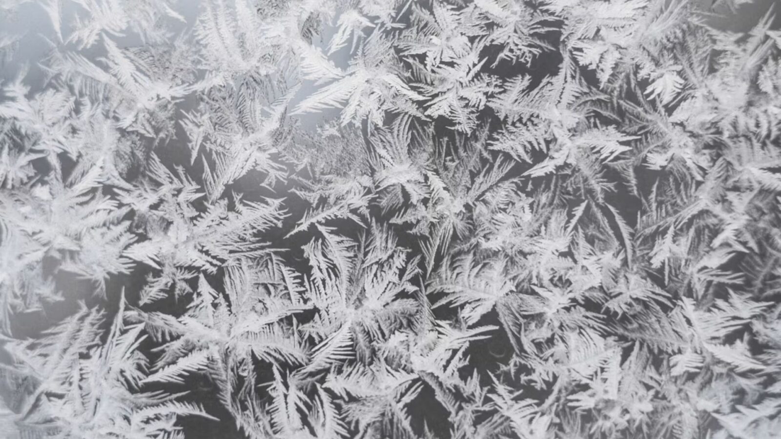 3. Tout le monde brûlait plus de charbon parce qu'il faisait un froid glacial