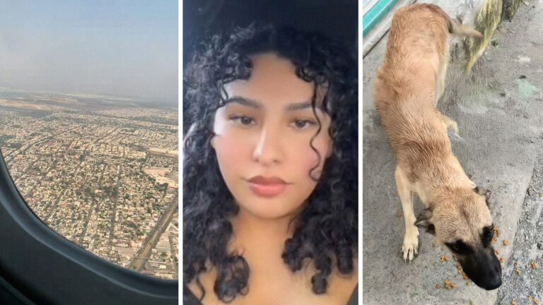 Las Vegas woman takes trip to Mexico. Then she flies back 2 months later to look for the stray dog she met