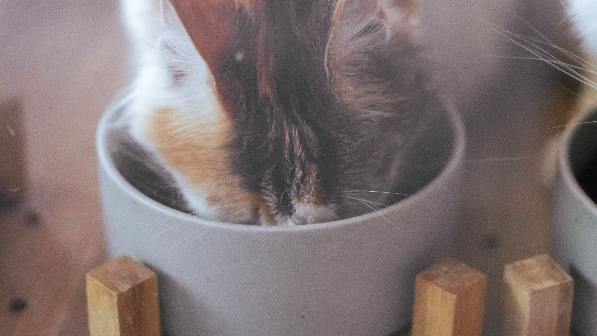 13. Chou à la crème