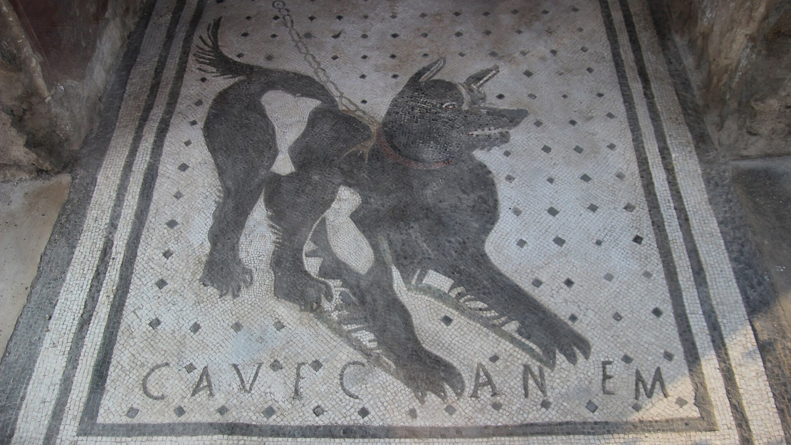 2. Beware Of The Dog, Literally