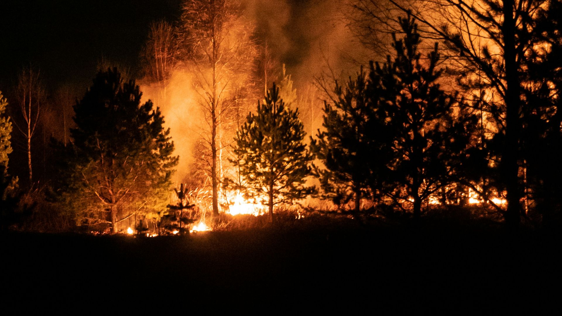 8. Lutter contre tous les feux de forêt