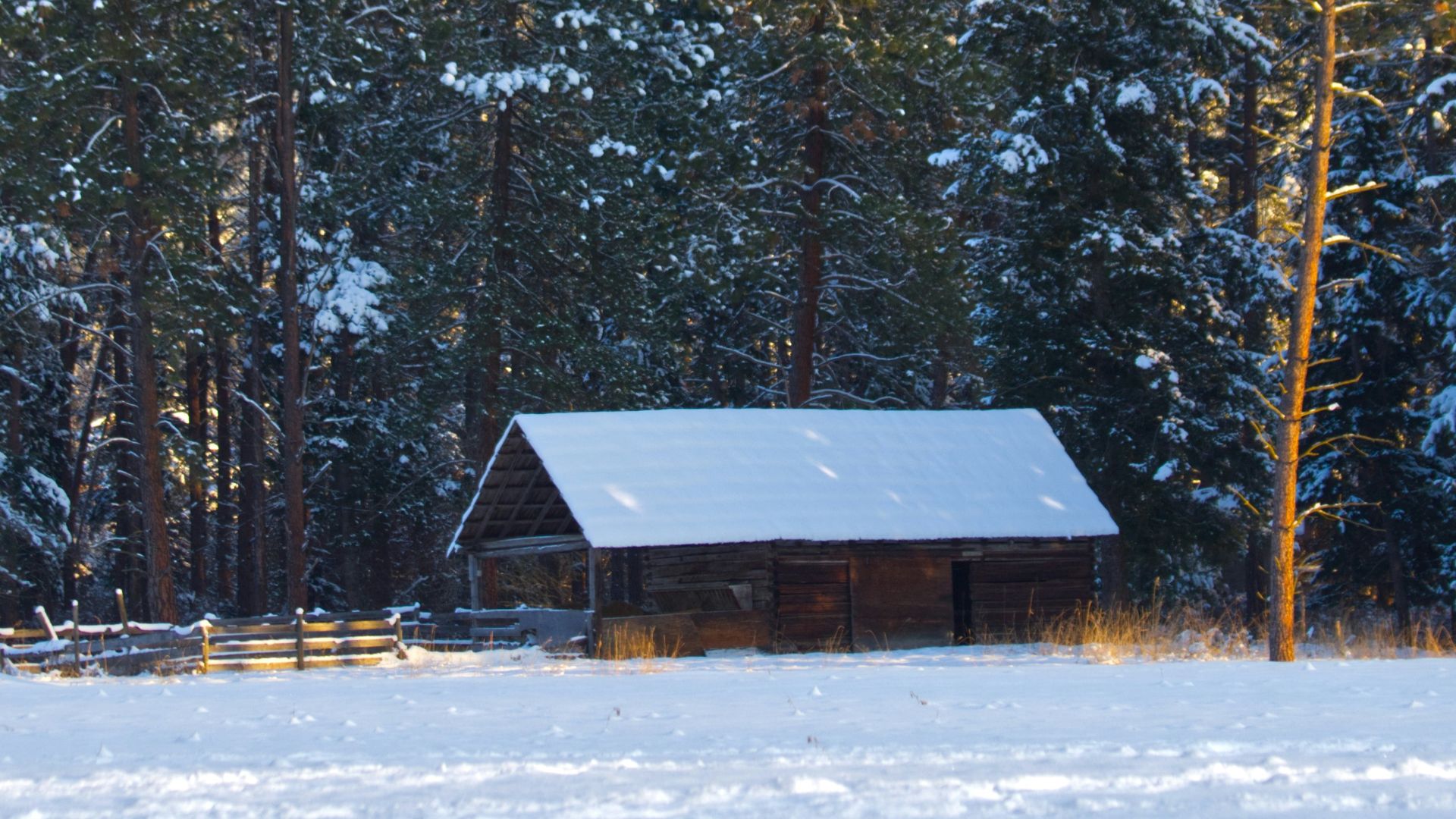 9. Les abris d'hiver étaient à peine suffisants