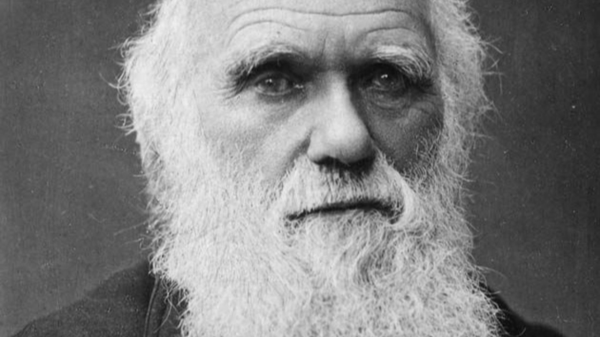 1. Charles Darwin