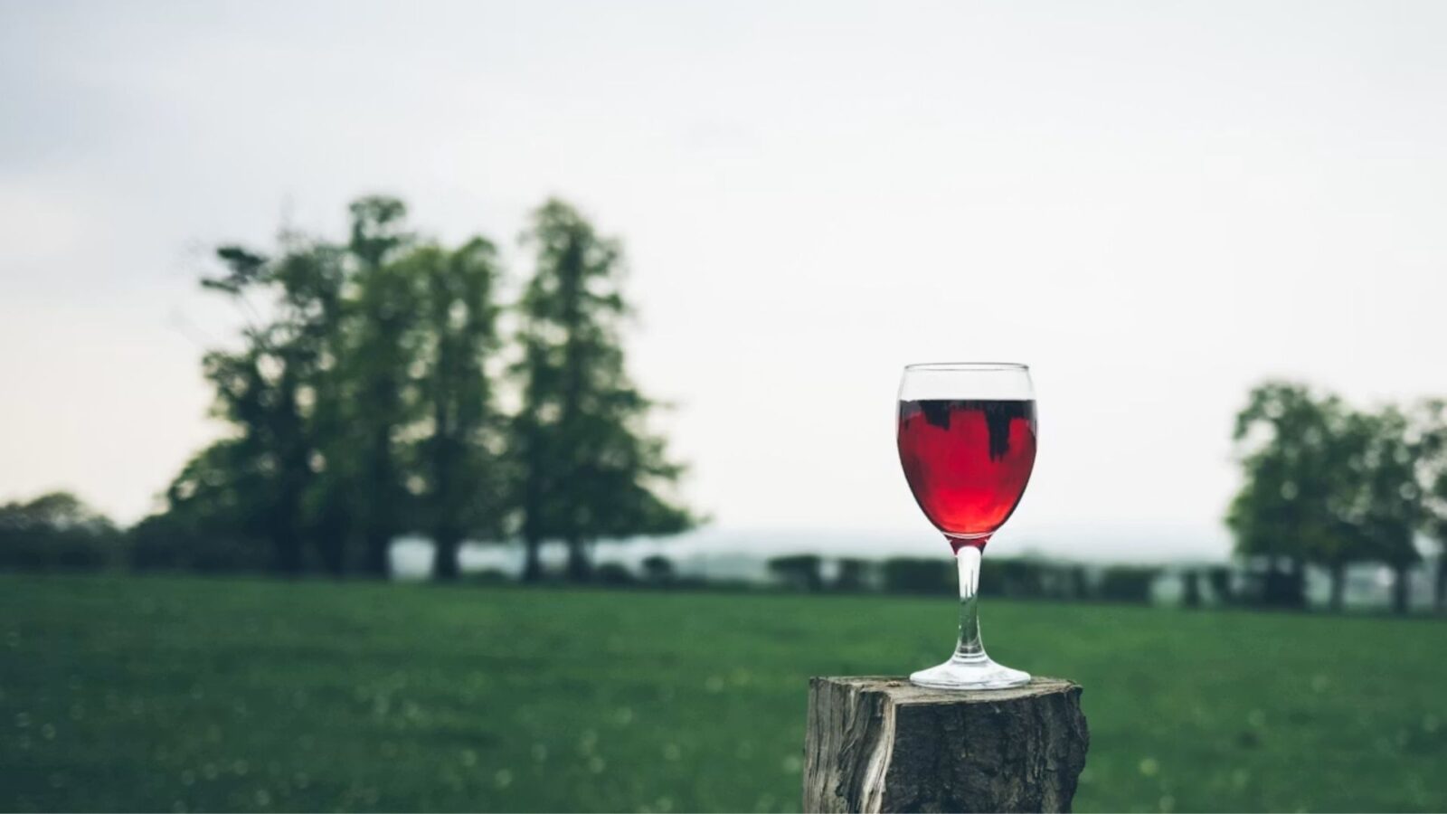 7. Beer And Wine Sellers Were Terrified