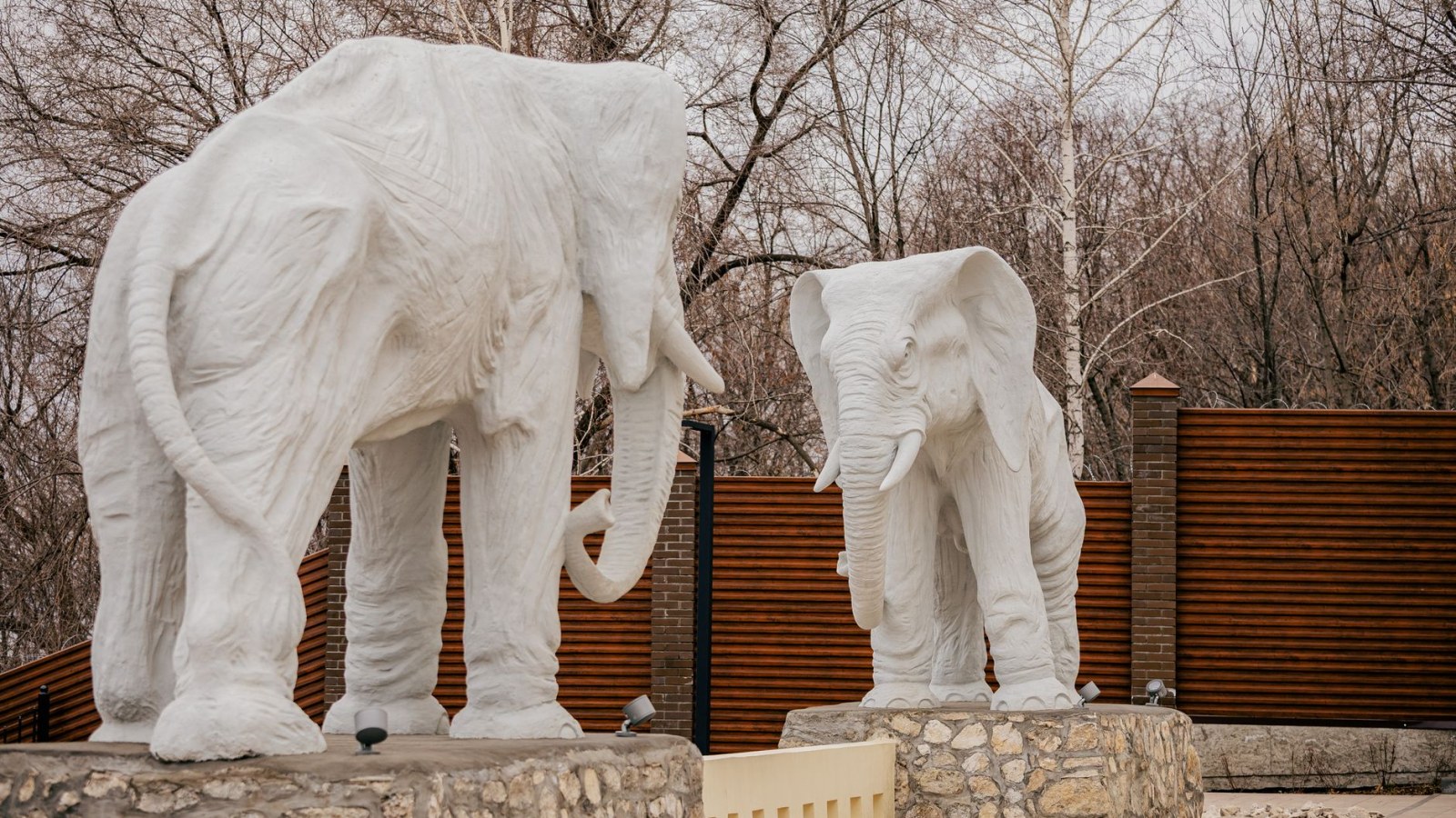 11. A White Elephant Advertised An Empire's Trade Routes