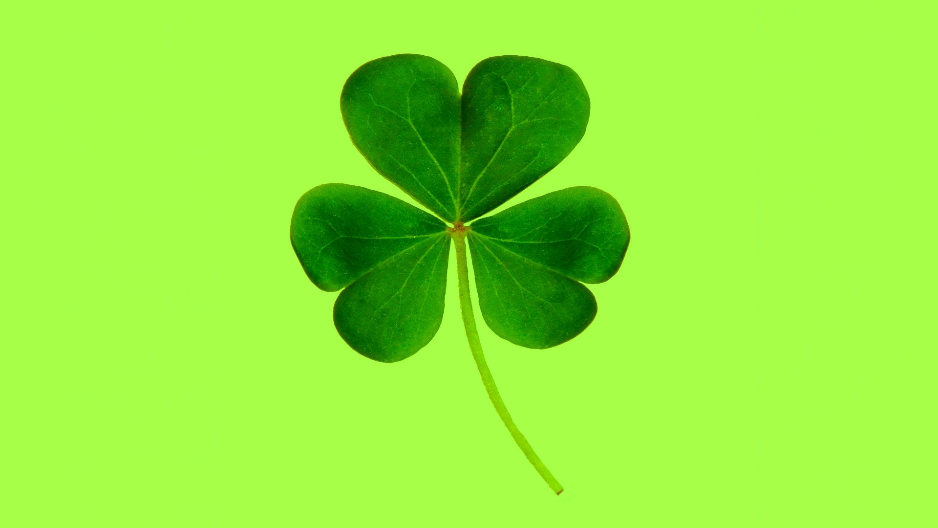 10. Bonne chance