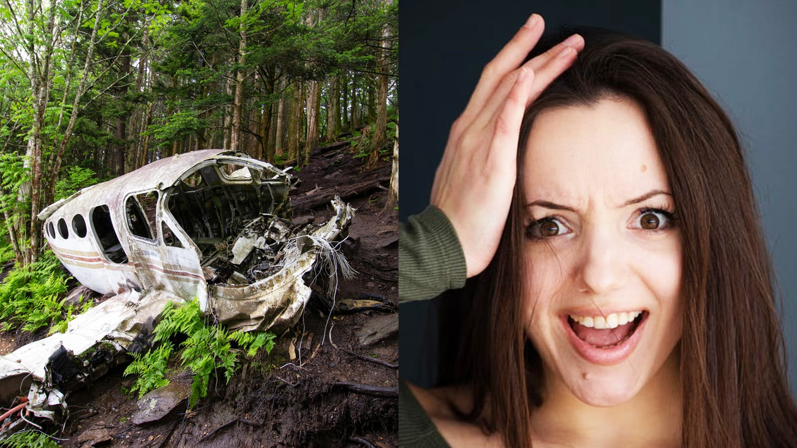 20 Greatest Survival Stories From History That Seem Impossible