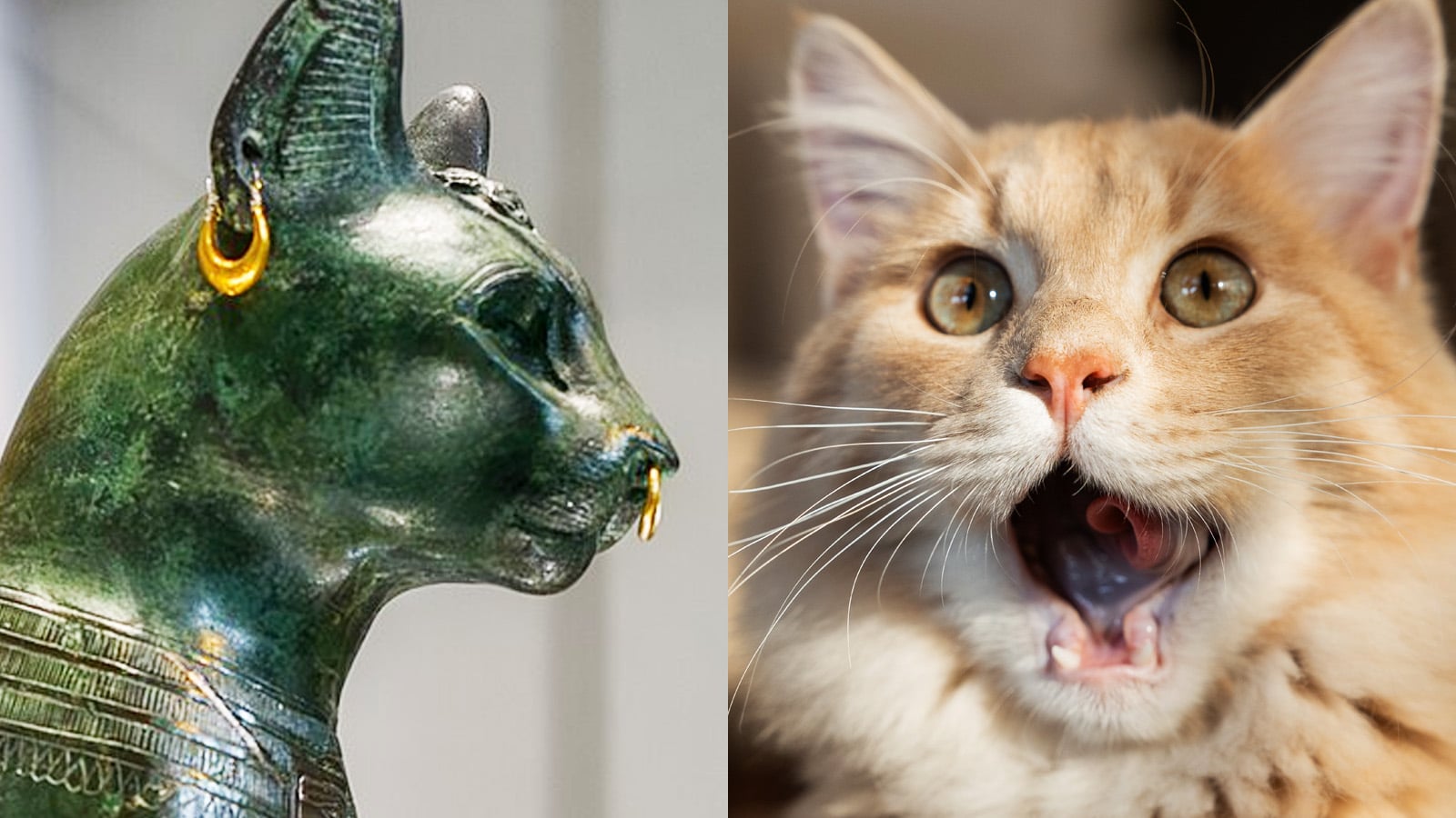 Why Ancient Egyptians Worshipped Cats