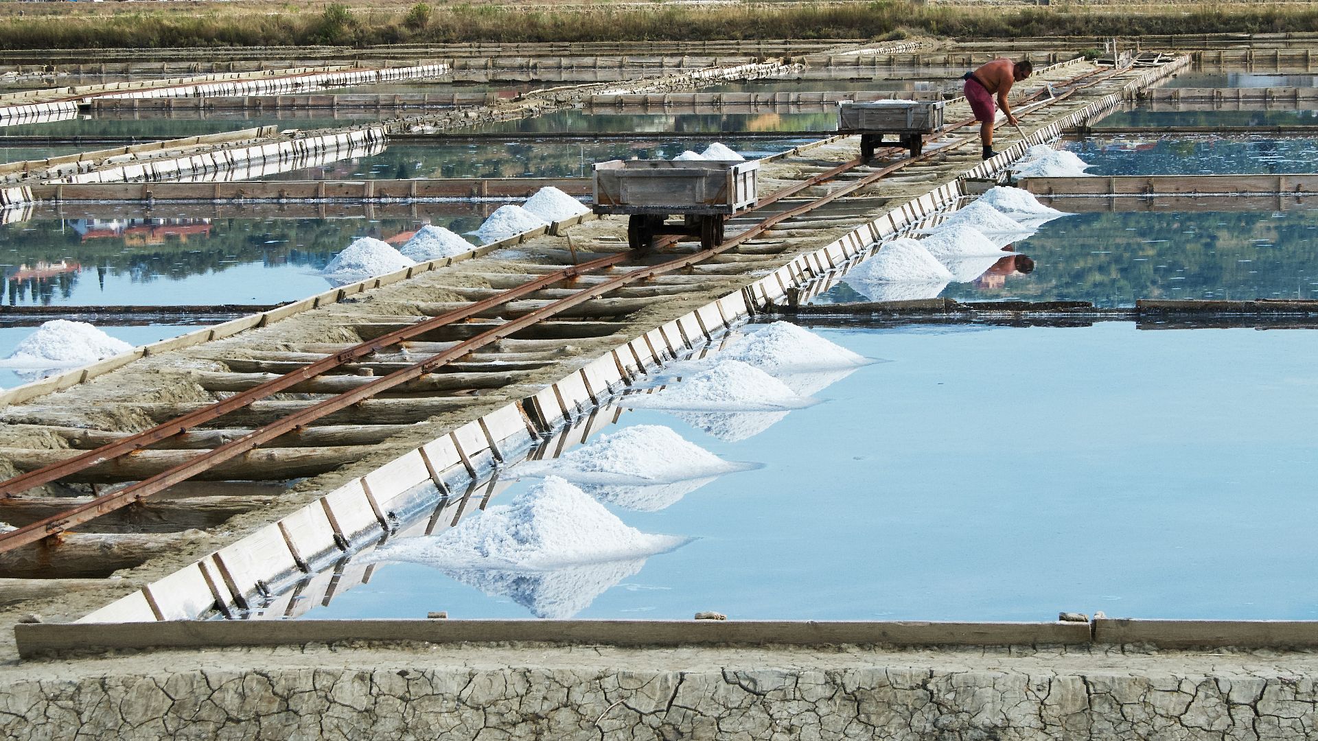 1. Le monopole du sel en Chine