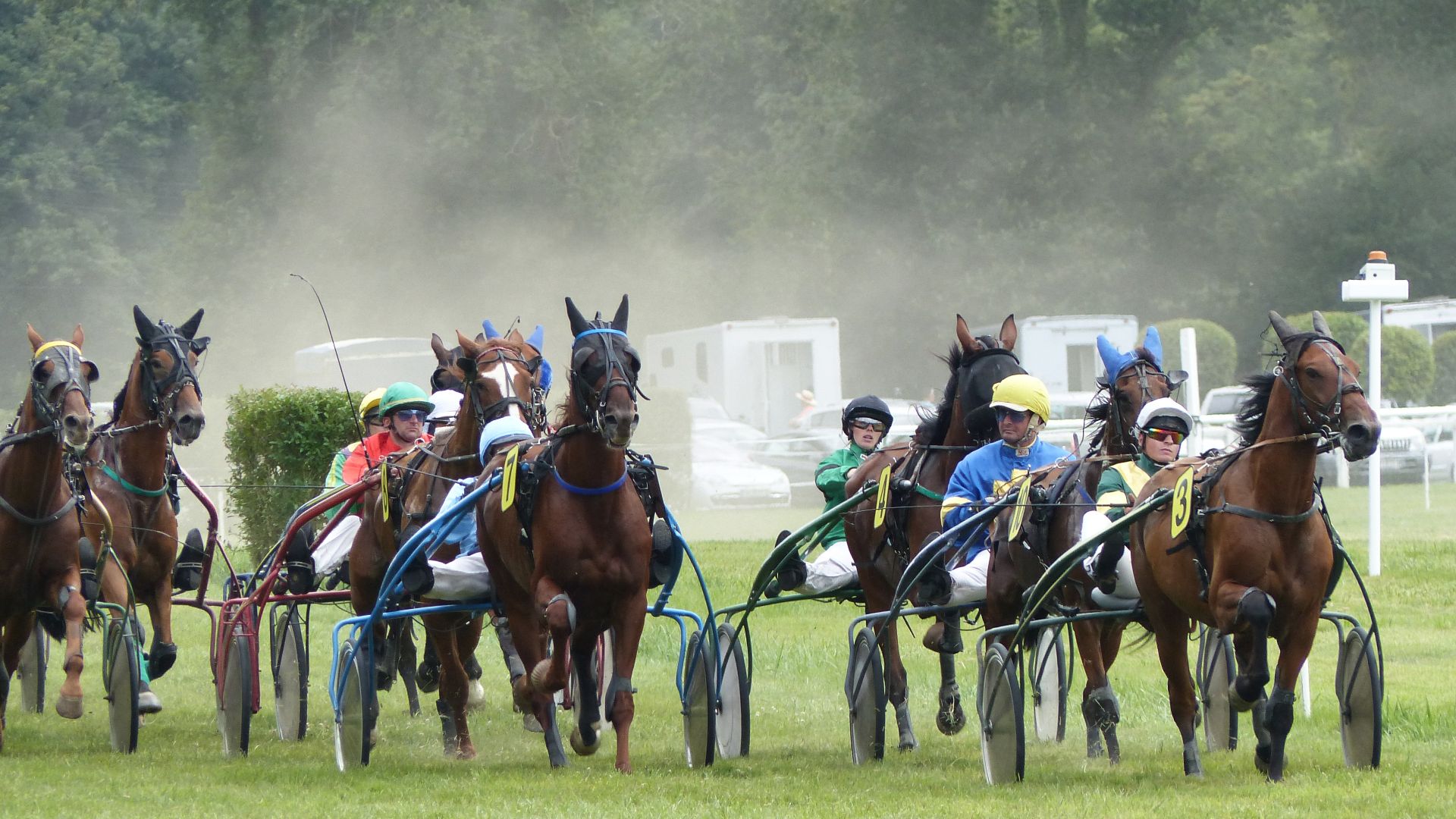 10. Courses d'attelage