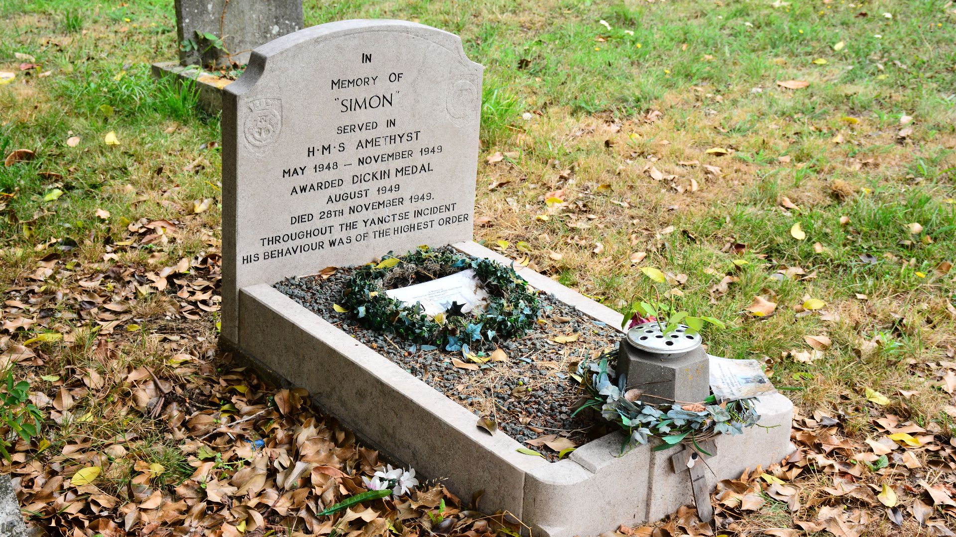 8. Simon