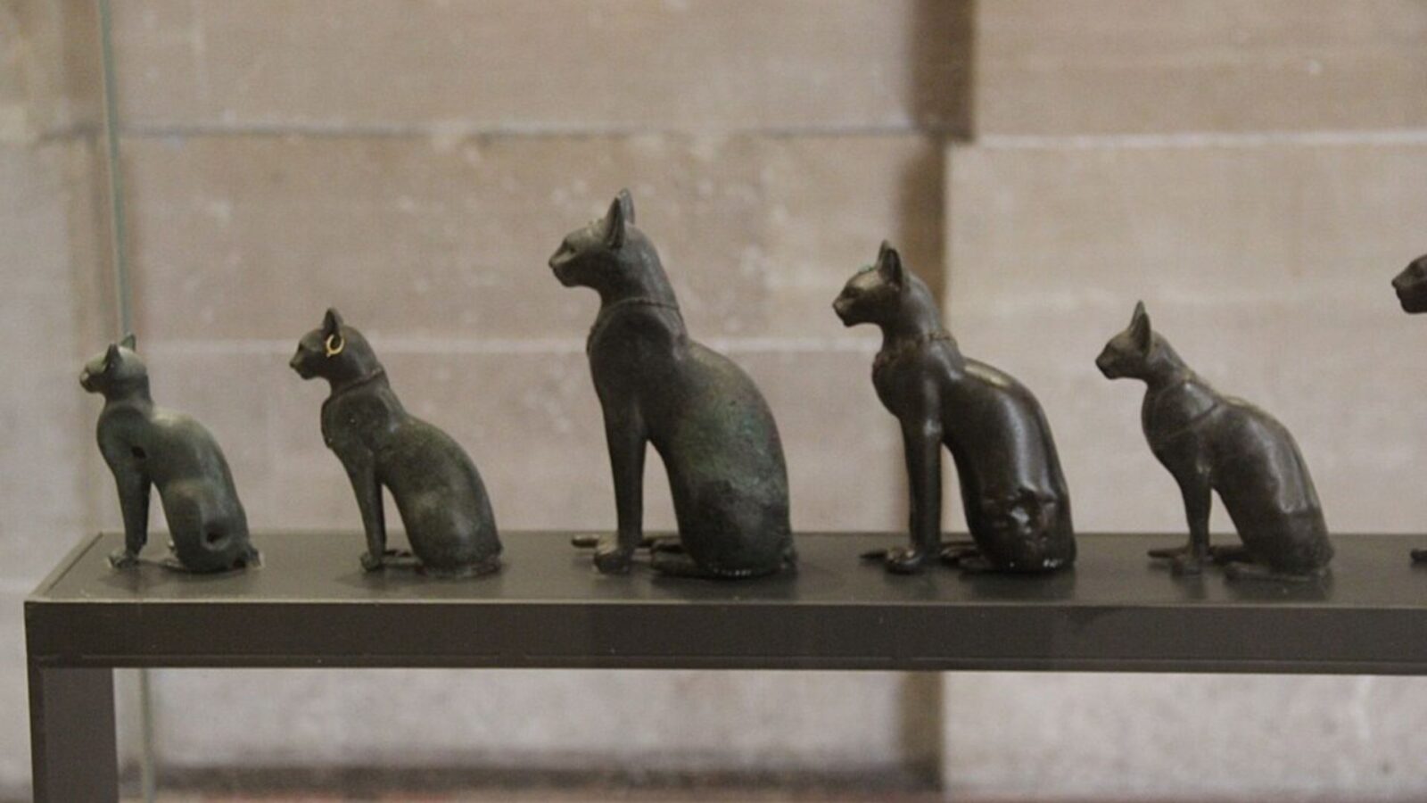 1. Cats Have Been In Egypt For Almost 6,000 Years