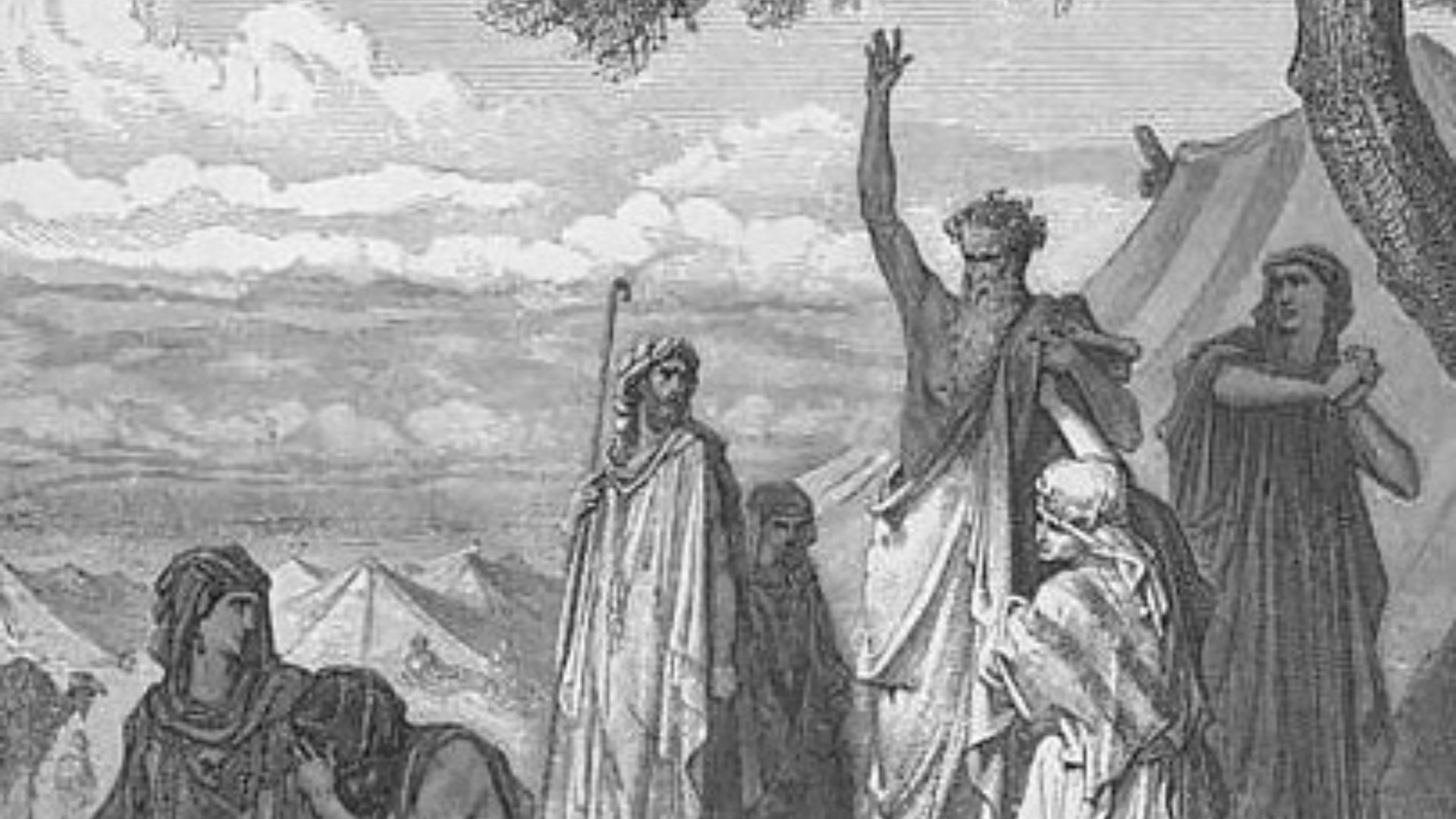 6. La malédiction de Cham