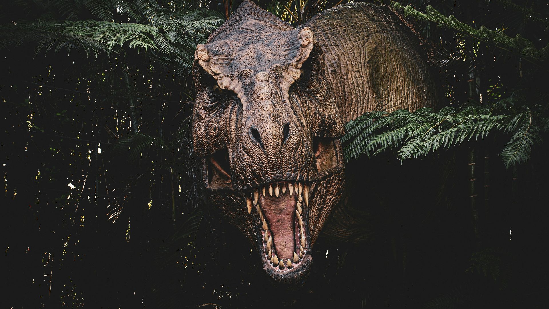 9. Le T. rex avait bien plus en commun avec les oiseaux