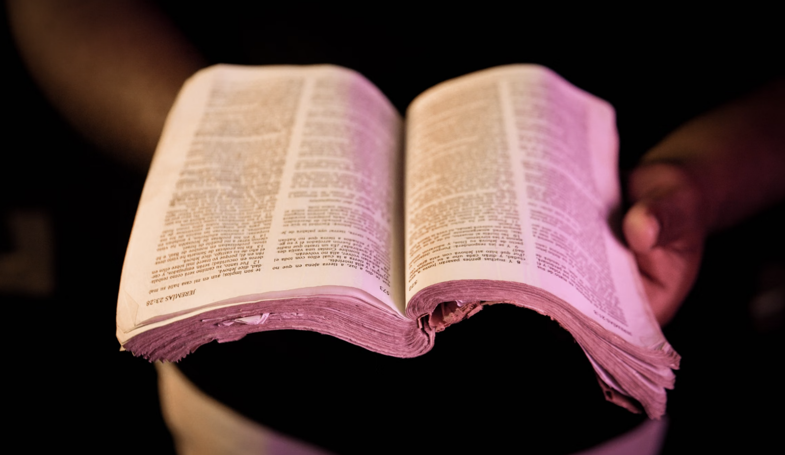 2. Si c'est dans la Bible, c'est que ça doit être vrai