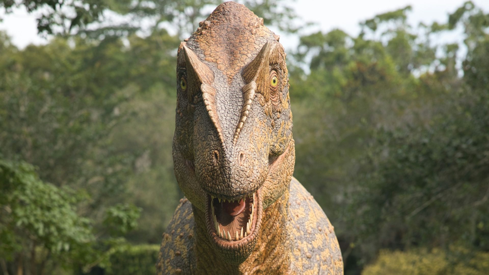 4. Le T. rex grandissait à une vitesse étonnante